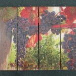 Old Vines